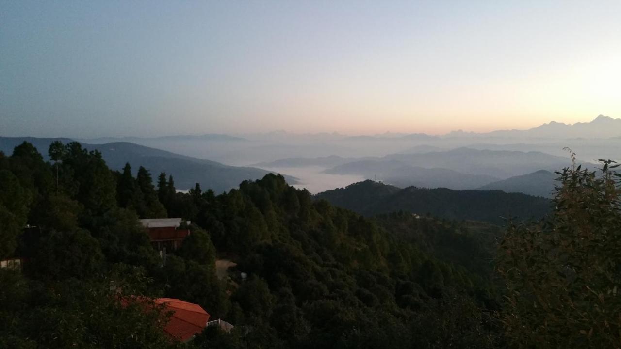 Essence Of Nature Tota Am Bagian luar foto
